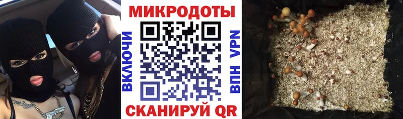 Псилоцибиновые грибы Cubensis  Купить  Кола 